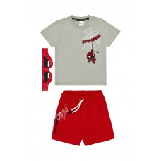 SPRINT σετ μπλούζα με σορτς αγόρι 261-1001-160 γκρι